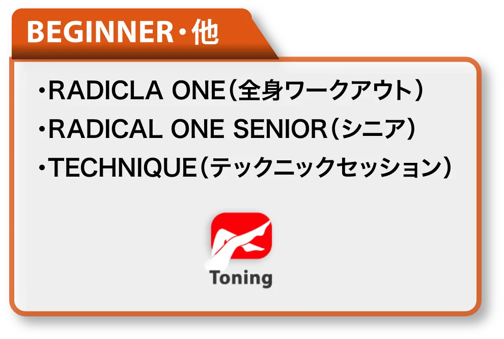 BEGINNER