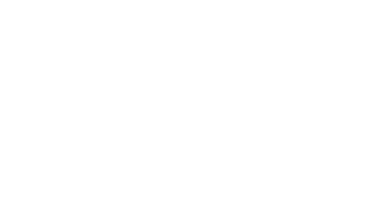 PROGRAM TRAILER