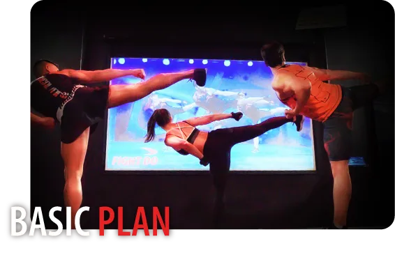 RADICAL BASIC PLAN